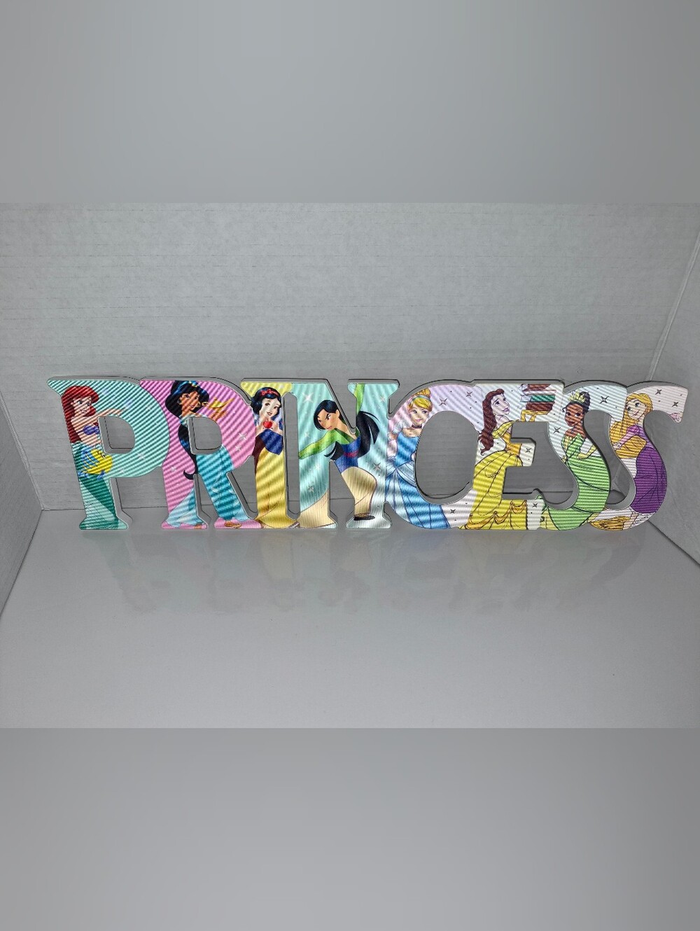 Disney Princess Themed 'Princess' Decorative Hanging Wall Accent